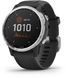 Смарт-часы Garmin Fenix 6S Solar Silver with Black Band 724010 фото 1