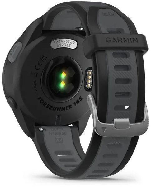 Смарт-часы Garmin Forerunner 165 Music Black/Slate Grey 1258775 фото