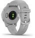 Смарт-часы Garmin Venu 2S Silver Stainless Steel Bezel with Mist Gray Case and Silicone Band 815718 фото 5