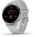 Смарт-часы Garmin Venu 2S Silver Stainless Steel Bezel with Mist Gray Case and Silicone Band 815718 фото 1
