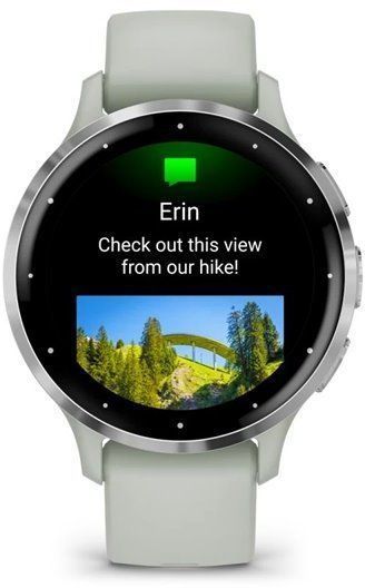 Смарт-часы Garmin Venu 3S Silver Stainless Steel Bezel with Sage Grey Case and Silicone Band 1171375 фото
