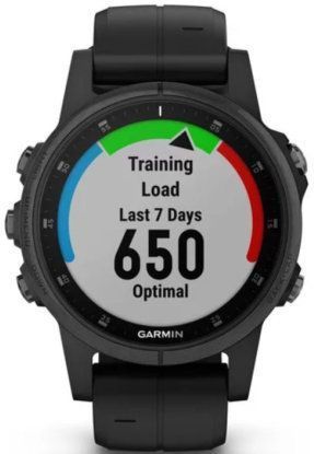 Смарт-часы Garmin Fenix 5S Plus Sapphire Black with Black Band 550091 фото