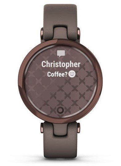 Смарт-часы Garmin Lily Classic Dark Bronze Bezel with Paloma Case and Italian Leather Band 800884 фото