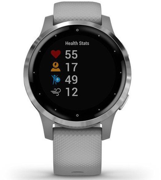 Смарт-годинник Garmin vivoactive 4S Powder Gray/Silver 688771 фото