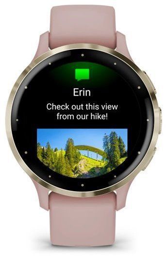 Смарт-часы Garmin Venu 3S Soft Gold Stainless Steel Bezel with Dust Rose Case and Silicone Band 1171376 фото