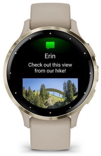 Смарт-часы Garmin Venu 3S Soft Gold Stainless Steel Bezel with French Grey Case and Silicone Band 1171373 фото
