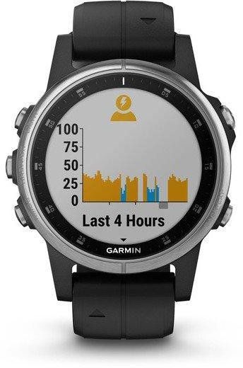 Смарт-часы Garmin Fenix 5S Plus Silver with Black Band 740032 фото