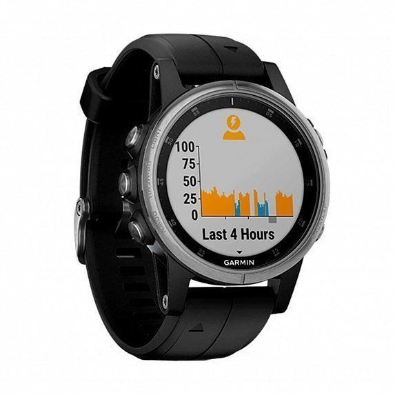Смарт-часы Garmin Fenix 5S Plus Silver with Black Band 740032 фото