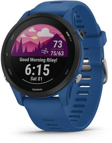 Смарт-часы Garmin Forerunner 255 Tidal Blue 928384 фото