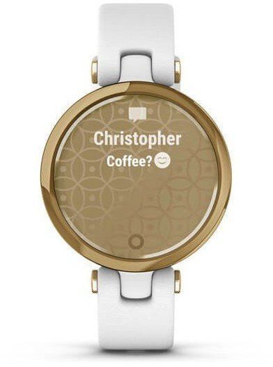 Смарт-часы Garmin Lily Classic Light Gold Bezel with White Case and Italian Leather Band 800885 фото