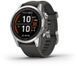 Смарт-часы Garmin Fenix 7S Pro Solar Silver with Graphite Band 1118688 фото 1