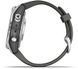 Смарт-часы Garmin Fenix 7S Pro Solar Silver with Graphite Band 1118688 фото 3
