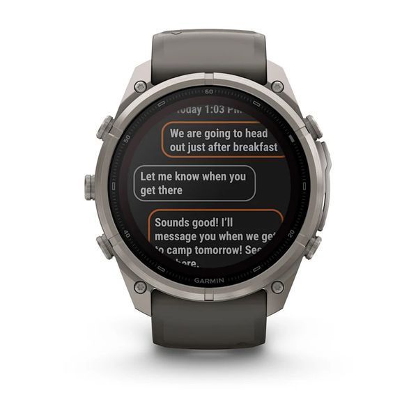 Смарт-годинник Garmin Fenix 9 Pro 51mm LTE Solar Titanium with Pebble Gray/Gray Silicone Band (010-04339-00/01) 1482149 фото