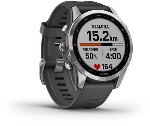 Смарт-часы Garmin Fenix 7S Silver with Graphite Band 894148 фото