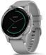 Смарт-годинник Garmin Vivoactive 4S Silver Stainless Steel Bezel with Powder Gray Case and Silicone Band 688787 фото 1
