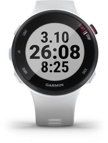 Смарт-часы Garmin Forerunner 45s Black/White 787142 фото
