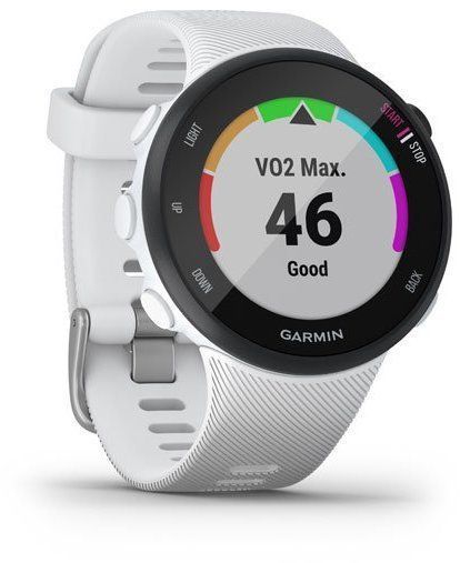 Смарт-часы Garmin Forerunner 45s Black/White 787142 фото