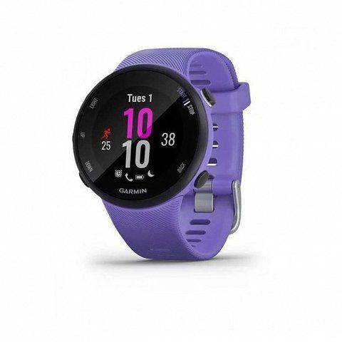 Смарт-часы Garmin Forerunner 45s Iris 556037 фото
