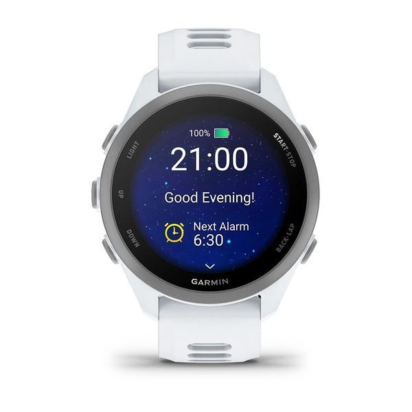 Смарт-часы Garmin Forerunner 170 Whitestone with Whitestone/Cloud Blue Band (010-03920-01) 1482880 фото