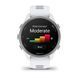 Смарт-часы Garmin Forerunner 170 Whitestone with Whitestone/Cloud Blue Band (010-03920-01) 1482880 фото 4