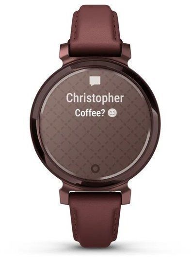 Смарт-часы Garmin Lily 2 Classic Dark Bronze with Mulberry Leather Band 1241731 фото