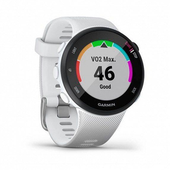 Смарт-часы Garmin Forerunner 45s White 556039 фото