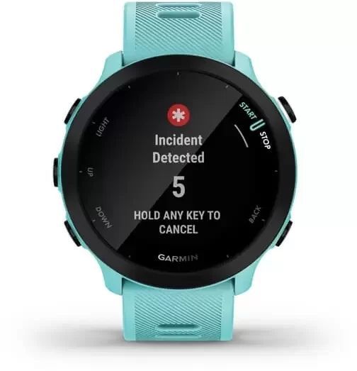 Смарт-годинник Garmin Forerunner 55 Aqua 827310 фото