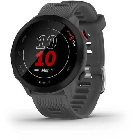 Смарт-годинник Garmin Forerunner 55 Monterra Grey 827311 фото