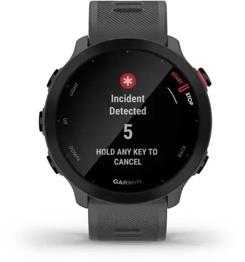 Смарт-часы Garmin Forerunner 55 Monterra Grey 827311 фото