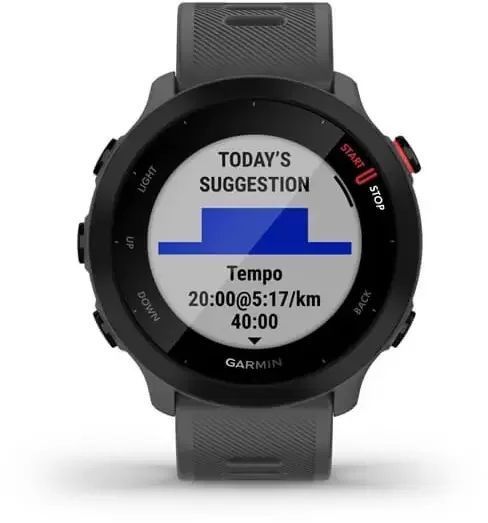 Смарт-часы Garmin Forerunner 55 Monterra Grey 827311 фото