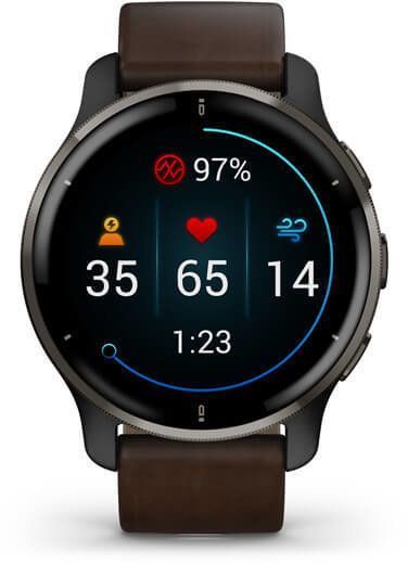 Смарт-часы Garmin Venu 2 Plus Slate Stainless Steel Bezel With Slate Case And Brown Leather Band 887482 фото