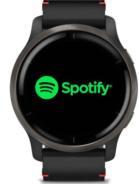 Смарт-годинник Garmin Venu 2 Slate Stainless Steel Bezel with Black Case and Leather Band 827385 фото