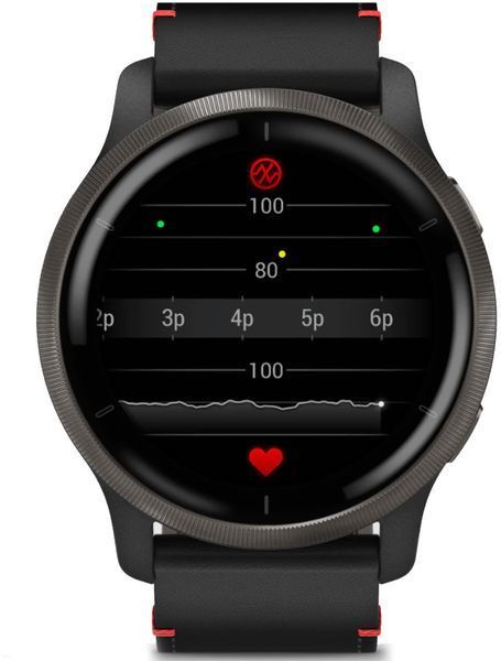 Смарт-годинник Garmin Venu 2 Slate Stainless Steel Bezel with Black Case and Leather Band 827385 фото